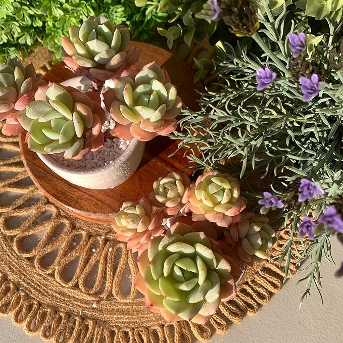 FWPP Live Succulents Plants Echeveria Love Song 3.5 inches,Rare Succulents Bare Root Without Pot Soil, Live Plants Indoor Office Decoration Wedding and Gift