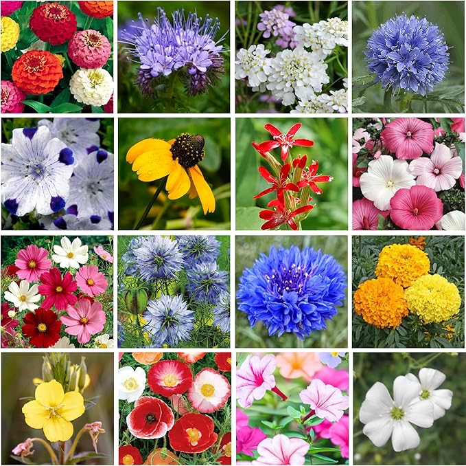 Awesome Annual Wildflower Seeds – 1oz Packet (15,000+ Seeds, Covers 100 Sq Ft) | 18 Easy-Grow Flower Varieties | Organic, Non-GMO | Fast Blooming Garden Mix for Bees, Butterflies & Pollinators