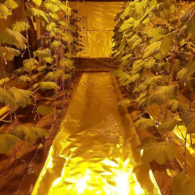 HFS(R) 6Mil Diamond Film Foil Roll Highly Reflective for Grow Room, Greenhouse (4X50FT)