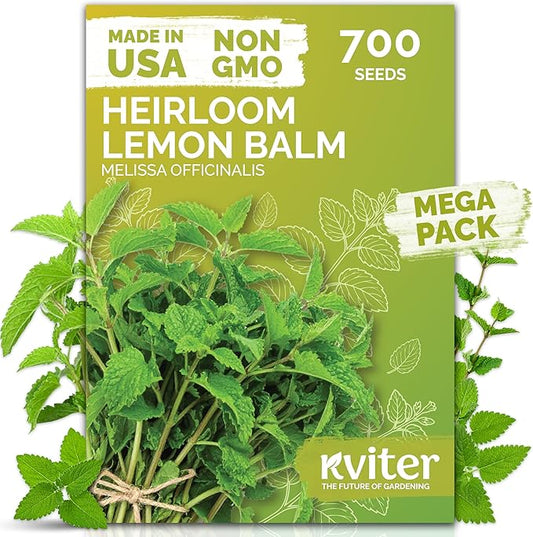 KVITER 700 Lemon Balm Seeds for Planting (Melissa Officinalis) – Heirloom & Organic Medicinal Herb Seeds – Grow in Herb Garden, Pots, Beds Indoors & Outdoors for Calming Lemon Balm Tea