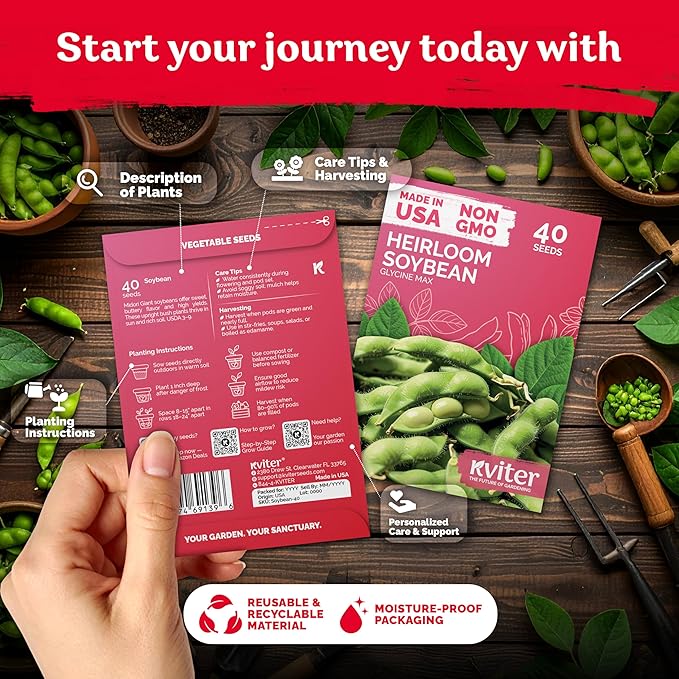 KVITER 40 Soy Bean Midori Giant Edamame Seeds (Glycine max) - Green Soybean, Soy Beans Organic Non GMO Variety, Sweet Nutty Flavor - Heirloom Vegetable Seeds for Planting Outdoors in Home Garden