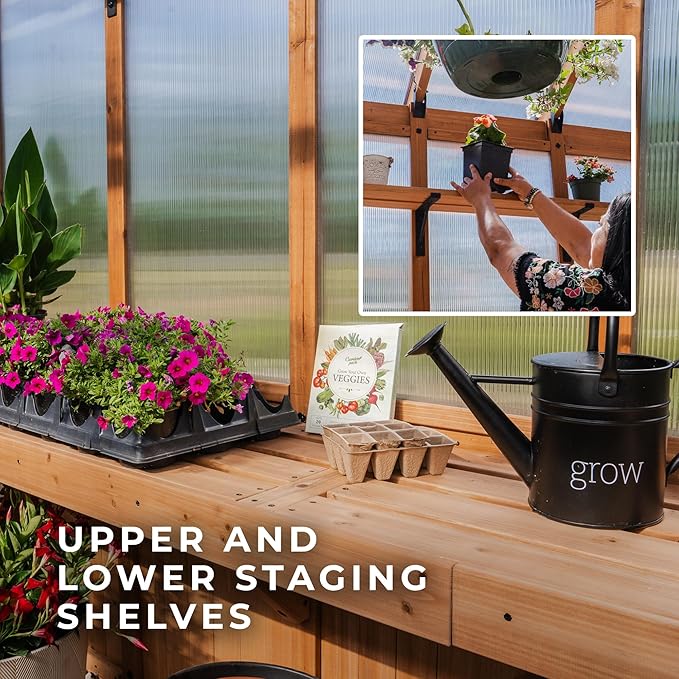 Backyard Discovery Bellerose XL 13' x 11' Cedar Wood and Polycarbonate Walk-in Greenhouse Kit with Pergola, Exhaust Fan, Windows, Hose Hook-Ups, PowerPort, Staging Shelves for Outdoor Gardening