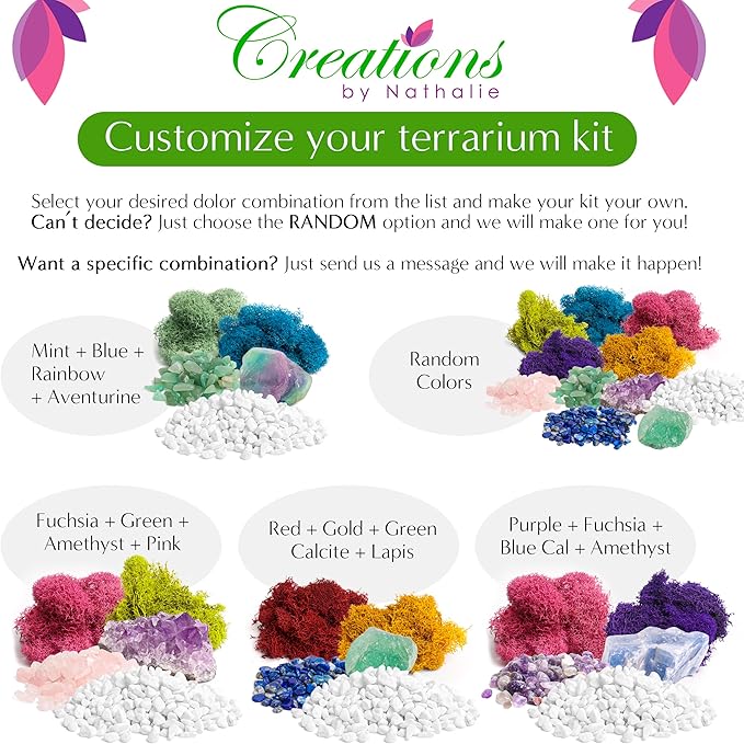 Plant Terrarium Kit W/Live Succulent (Fresh from Florida), Choose Your Glass DIY Terrarium Starter Kit for Adults, Metal Stand, Reindeer Moss, Crystal & Rocks, Tools, Figurine