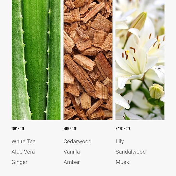 Hotel Collection Diffuser Oil - Dream On - Aromatherapy Essential Fragrance Oil - Luxury Hotel Inspired -White Tea, Cedarwood & Amber - 120ML 4.1 Fl oz