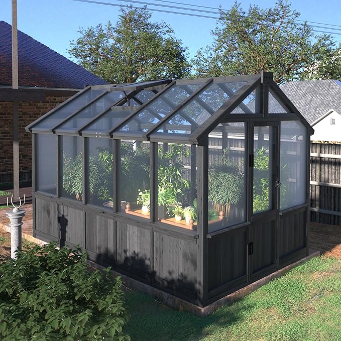 BlueWish 6x10FT Greenhouse, Greenhouse for Outdoor with Cedar Frame, Adjustable Vent, Wood Greenhouses with Polycarbonate Panel, Green House for Outside, Garden, Backyard, Black