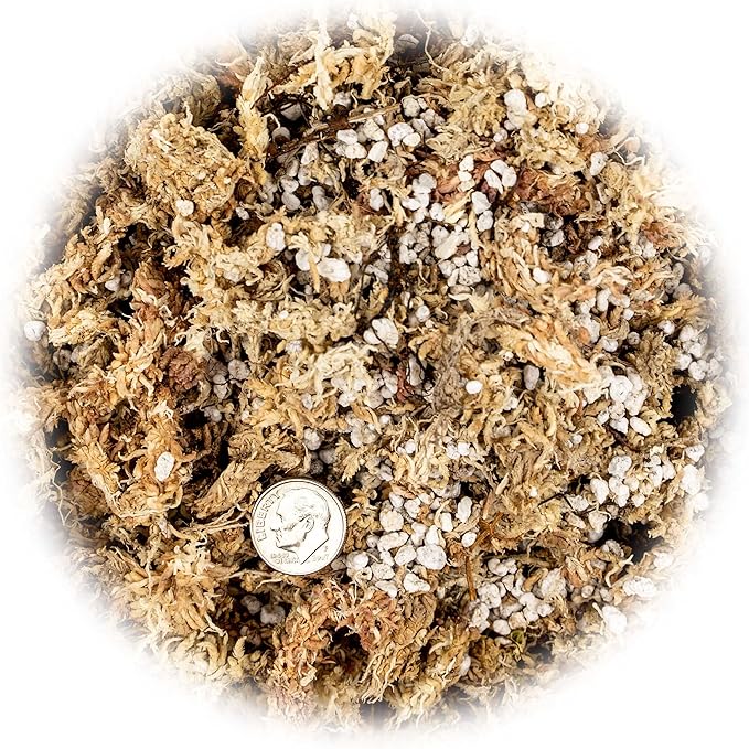 Premium Albuca Spiralis Potting Soil Mix - Perfect Balance of Nutrients, Drainage, and Aeration for Thriving Blooms - 10 Quart