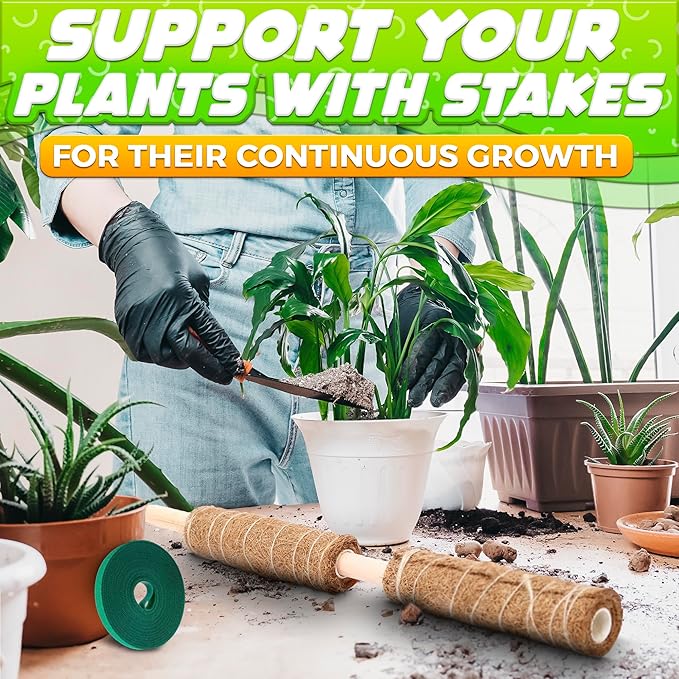 2 Pack Moss Pole Monstera Plant Support 12” Each Moss Plant Pole Moss Poles for Climbing Plants Monstera Support Pole Plant for Indoor Plants Moss Sticks for Indoor Plants Climbing Plant Poles