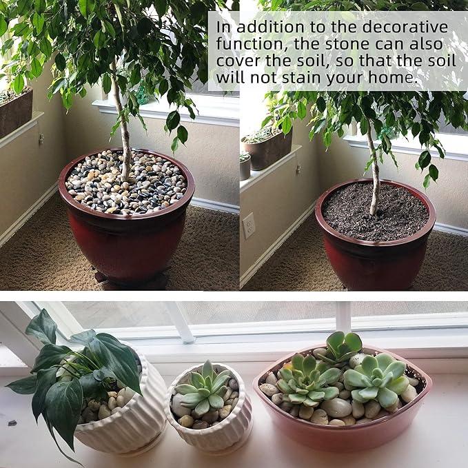 Pebbles for Plants 18 lb Natural River Rocks Garden Decorative Stones Outdoor Aquariums Gravel 1-1.5 Inches