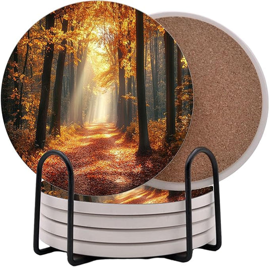 Fall Season Leaves Round Coasters Set of 6 - Abosrbent Ceramic Coasters with Metal Stand for Drinks, Coffee, Non-Slip Cork Back for Tabletop Protection, 4 Inches (Fall Path)