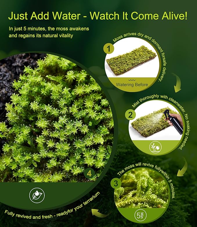 Real Live Moss – 4 Types Live Moss for Terrariums, Fairy Gardens, Reptile Habitats & Mini Landscapes | Revives in 5 Minutes with Water Mist, Soft Green Texture, Easy to Grow (4-Pack, 3.5”x7”)