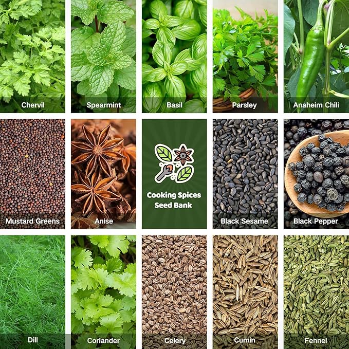 Lush&Dew Culinary Herbs Kitchen Garden Heirloom Seed Bank, Gardening Gifts, 16 Varieties Non-GMO Seeds for Planting Herb in Raised Garden Beds Windowsill, Survival Seed Kit, Cooking Spices Basil Dill
