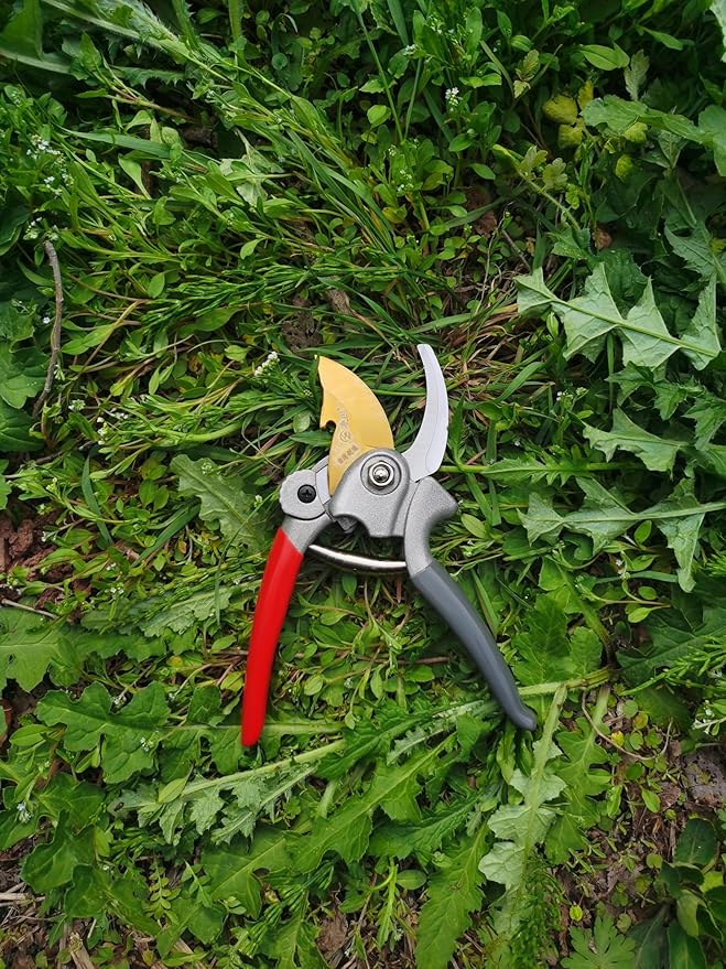 Garden Tools Set, 5 Piece Aluminum Hand Tool Kit with Ergonomic Handle, Heavy Duty Gardening Tools Include Hand Trowel, Transplant Trowel, Hand Rake, Weeder and Shears (Green)