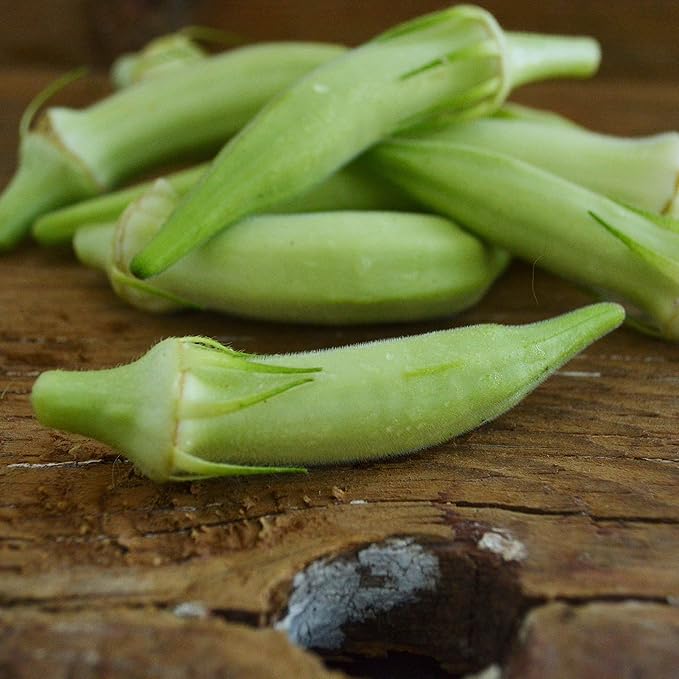 Blondy Dwarf Okra - 100 Seeds - Heirloom & Open-Pollinated Variety, Easy-to-Grow, Non-GMO Vegetable Seeds for Planting Outdoors in The Home Garden, Thresh Seed Company