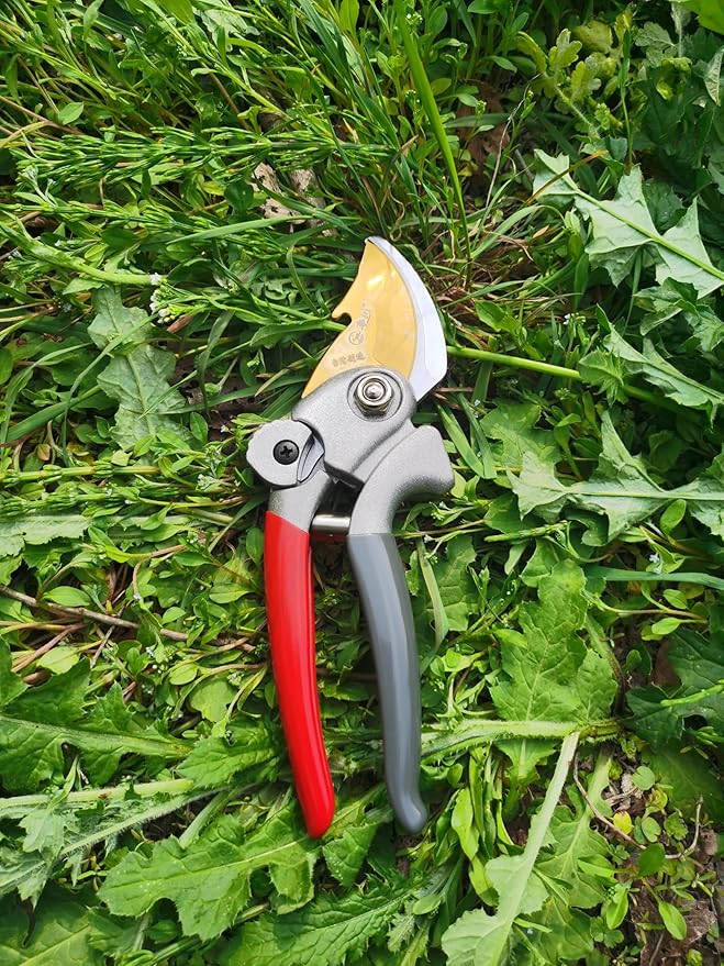 Garden Tools Set, 5 Piece Aluminum Hand Tool Kit with Ergonomic Handle, Heavy Duty Gardening Tools Include Hand Trowel, Transplant Trowel, Hand Rake, Weeder and Shears (Orange)