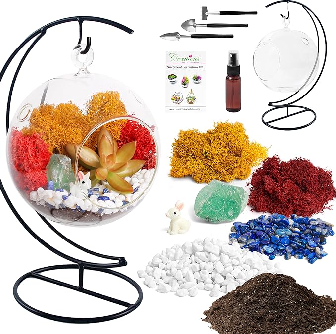 5" DIY Globe Terrarium Kit - Hanging Glass Planter with Stand for Adults & Kids - Build Your Own Mini Ecosystem with Moss, Crystals, Tools & Figurine - Handcrafted in USA