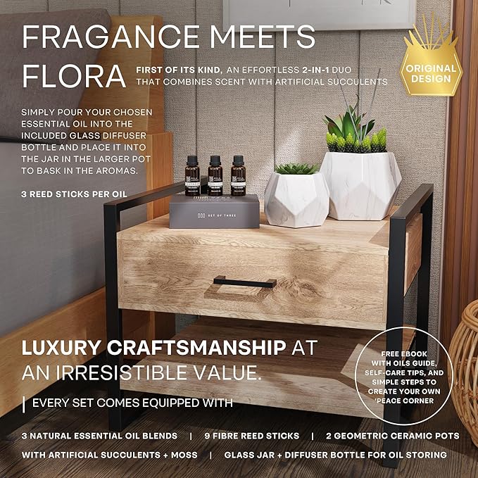 2in1 Reed Diffusers for Home & Faux Succulents Plants Artificial Set-Ceramic Potted Succulents x2 Pcs, Home Fragrance w/Lavender, Lemongrass, Eucalyptus Essential Oilx3 bottles 30ml with 9 Reed Sticks