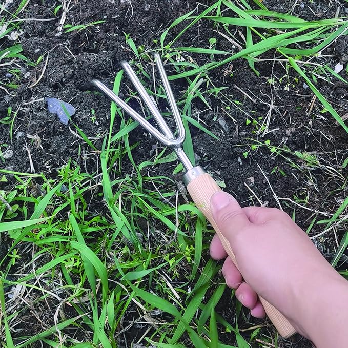 Garden Tools Set, 12 Piece Stainless Steel Hand Tool Kit with Wooden Handle, Heavy Duty Gardening Tools Include Trowel, Spade Shovel, Cultivator, Rake, Shears, Weeder, Gloves with Tool Bag