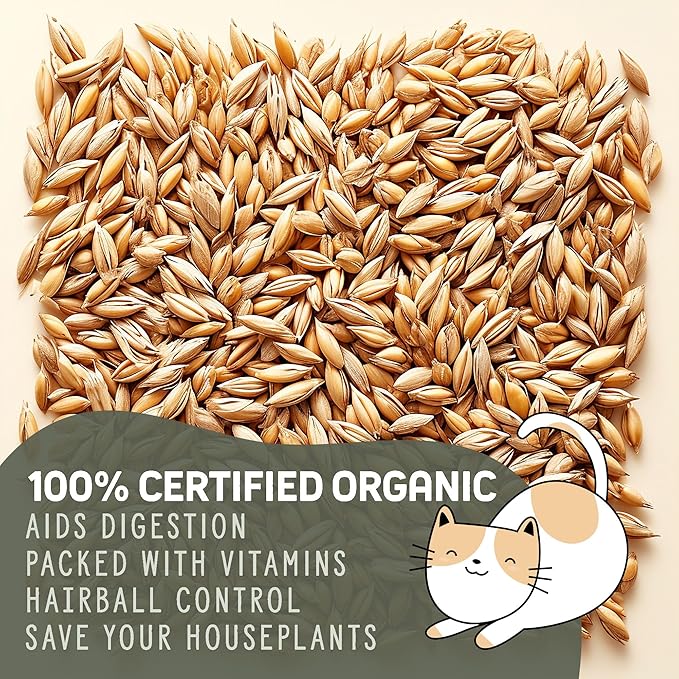 Organic Wheatgrass Cat Grass Premium Grow Kit 4 Pack | 100 % Wheatgrass Seeds Non‑GMO Seeds for Cats & Humans