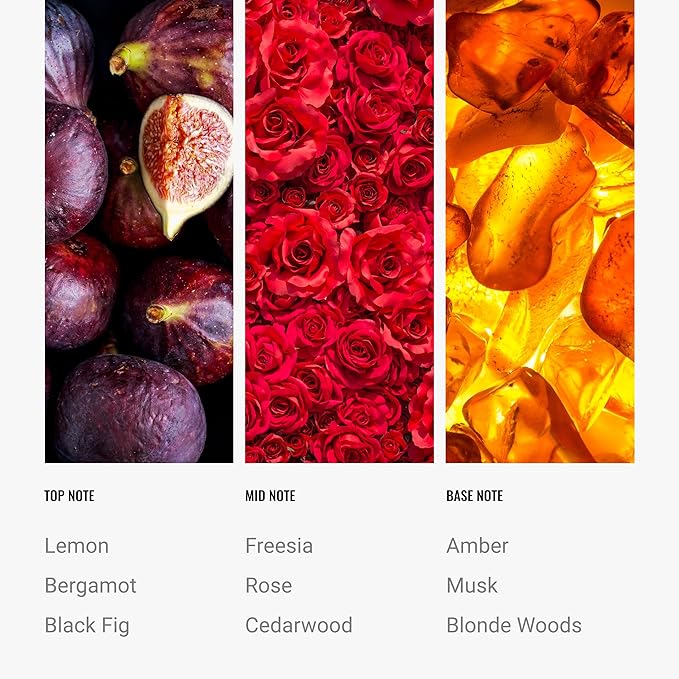 Hotel Collection Diffuser Oil - Black Velvet - Aromatherapy Essential Fragrance Oil - Blonde Woods, Rose, and Black Fig - 50ML 1.7 Fl oz