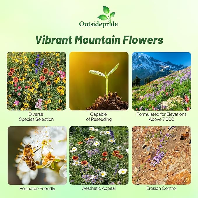 Outsidepride Mountain Wild Flower Seed Mix - 5 lbs Premium Blend of Annual & Perennial Wildflower Seeds for High-Elevation in USDA Zones 3-8, Ideal for Mountain Gardens, Low-Maintenance & Easy to Grow