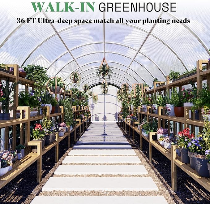 AMERLIFE 36x10x7 FT Large Walk-in Tunnel Greenhouses for Outdoors with Watering System 2 Zipper Doors, Heavy Duty Greenhouse Upgraded Galvanized Steel Frame 12 Windows, Green/White
