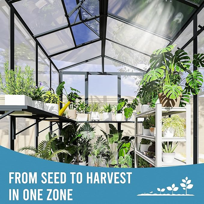 Domi 6.5x8FT Polycarbonate Greenhouse with Automatic Vent, Extra Tall 7.8FT Walk-in Aluminum Frame, Weather-Resistant Green House with Shelves & Hooks for Outdoor Garden, Backyard, Dark Grey