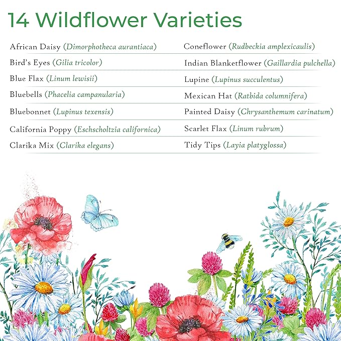 Created By Nature Nevada Wildflower Seed Mix, 14 Flower Varieties, 30,000 Seeds