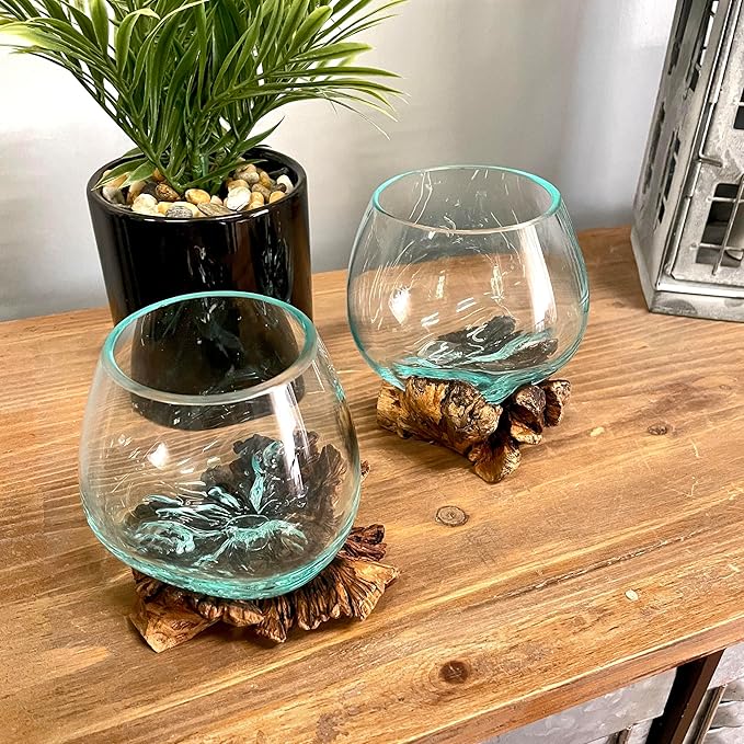Melted Glass on Burl Wood Decorative Bowl, Vase, and Terrarium Planter - Approximately 5 Inches High - Nature-Inspired Artistry for Home and Garden