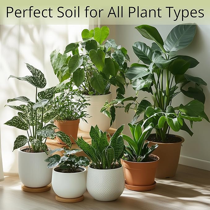 Coconut Coir Potting Soil for Indoor Plants - Expands to 2.5 Quart (5.5 lb) | Bonsai Soil Discs Perfect for General Houseplants, Herbs, and Bonsai Trees - Expands with Water