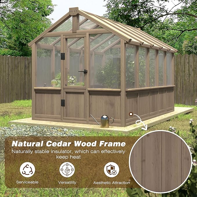 BlueWish 6x10FT Greenhouse, Greenhouses for Outside with Cedar Frame, Wood Greenhouse with Adjustable Vent, 6MM Polycarbonate Panel, Green House for Outside, Garden, Backyard