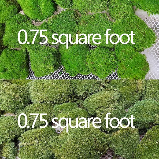 2 Color Mix Pack Preserved Pole Moss Pillow Bun Cushion Natural Decorative Green DIY Kit Art Wall Decor Florist Decor Easter Table Decor Wedding(1.5 sq.ft, Green-A,Green-B)