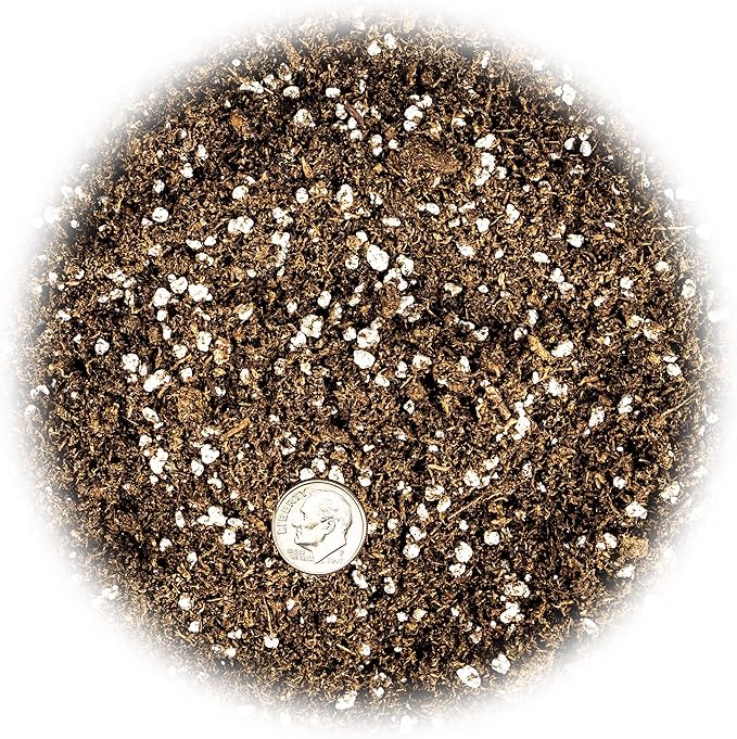 Premium Organic Potting Soil, Succulent & Cactus Soil Mix, Fast Draining Pre-Mixed Blend - Horticultural Perlite (25%) + Peat Moss (75%) - Made in USA - 2 Quart