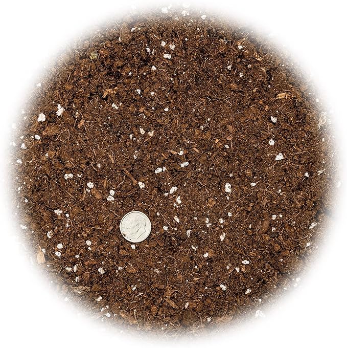 Money Tree Potting Soil Mix for Planting or Repotting Guiana Chestnut, Soil Blended to Properly Grow Money Tree Plants (3 Quart Bag)