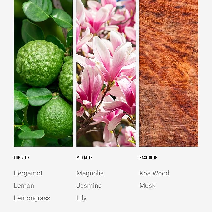 Hotel Collection - 24K Magic - Reed Diffuser Set - Luxury Aromatherapy - Lemon, Bergamot, Black Fig, Cedarwood, Amber, Musk & Blonde Woods - Essential Oil Diffusers - Shelf Decor - 100mL/3.5 FL oz