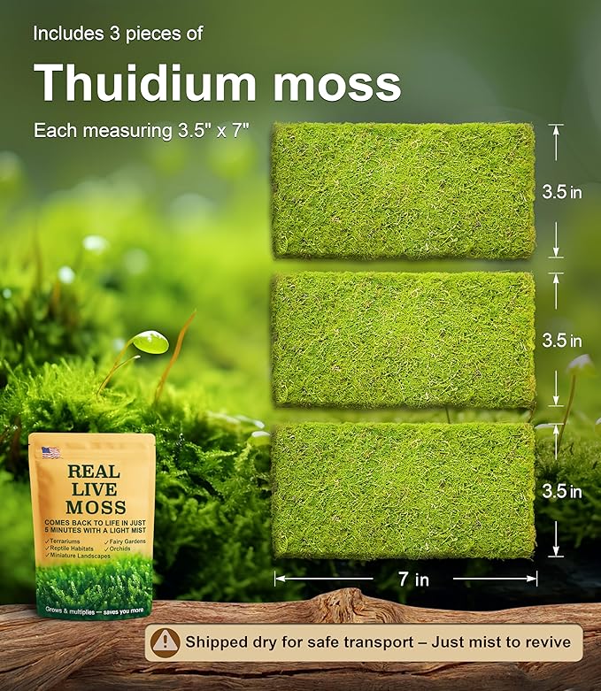 Live Moss – Thuidium Moss (3 Sheets, Each Approx. 3.5"x7") for Terrariums, Bonsai, Plant Decor & Natural Crafts – Naturally Grown, Reusable, Not Artificial