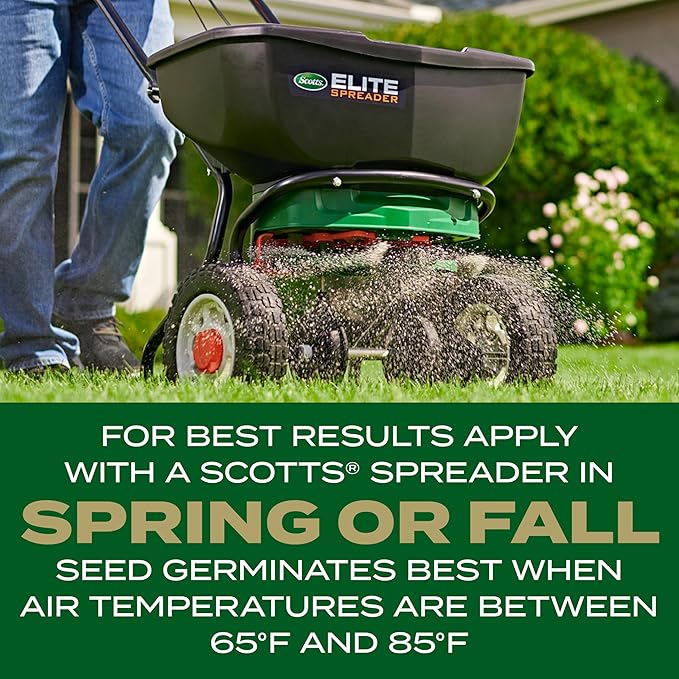 Scotts Turf Builder Rapid Grass Southern Gold Blend for Tall Fescue Lawns, Combination Seed and Fertilizer, 5.6 lbs.