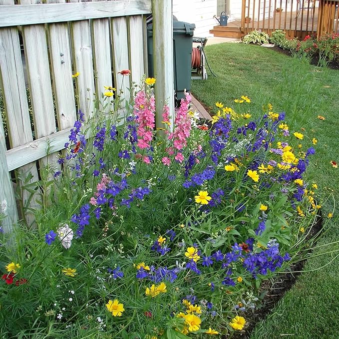 Created By Nature Kansas Wildflower Seed Mix, 16 Flower Varieties, 40,000 Seeds