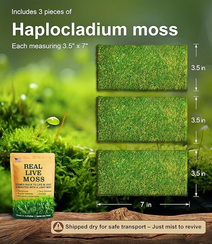 Real Live Moss for Terrariums, Fairy Gardens, Reptile Habitats & Mini Landscapes – Naturally Cultivated Live Moss, Revives in 5 Minutes with Water Mist, Grows & Multiplies (3 Sheets, 3.5”x7”)