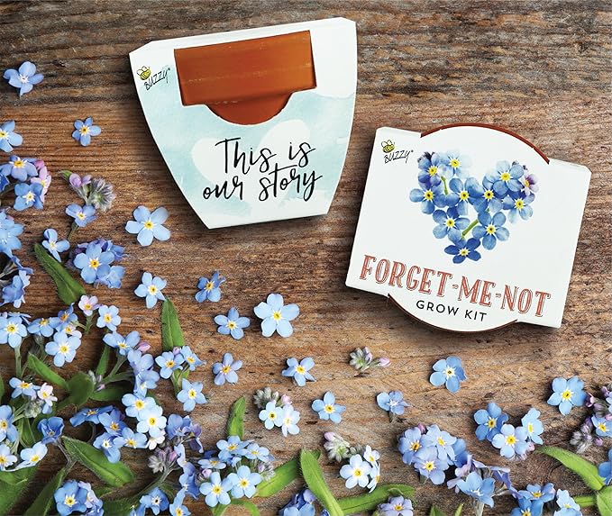 BUZZY Seeds Forget-Me-Not Terracotta Mini Grow Pots Love Collection, 12-Pack All-in-One Gardening Kit for Wedding Favors, Baby Shower Prizes, Birthday Gifts, or Party Favors