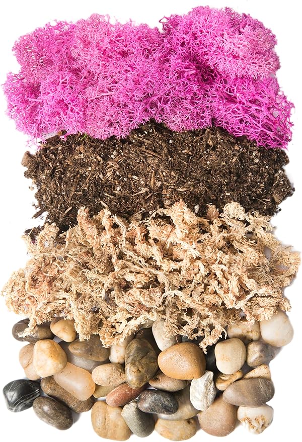 SuperMoss (90412) Terrarium Jar DIY Kit – Build Your Own Mini Garden in a Jar, Idea for Budding Gardeners, Creative Kids & Plant Lovers of All Ages, 32oz, Newport