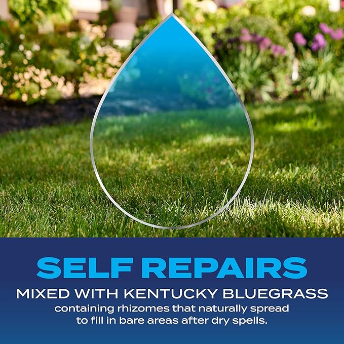 Scotts Grass Seed Drought Tolerant Mix, Kentucky Bluegrass and Tall Fescue Grass Seed Mix, Covers up to 5,000 sq. ft., 10 lb.