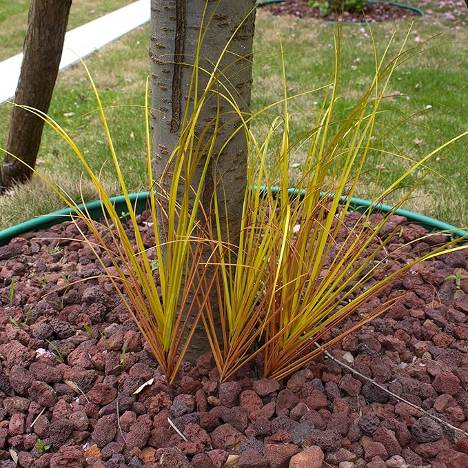 20PCS Artificial Plants Outdoor,Artificial Shrubs Fake Tall Grass,Artificial Faux Greenery Stems,Fake Leaves Artificial Grass Plant Onion Grass UV Resistant for Indoor Decor (20, Brown)