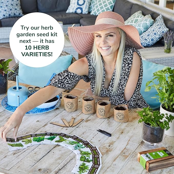 Indoor Herb Garden Starter Kit - Heirloom, Non-GMO Herb Seeds - Basil Thyme Parsley Cilantro Seed, Potting Soil, Pots, Scissors - DIY Grow Kits for Growing Herbs Indoors, Kitchen, Balcony, Window Sill