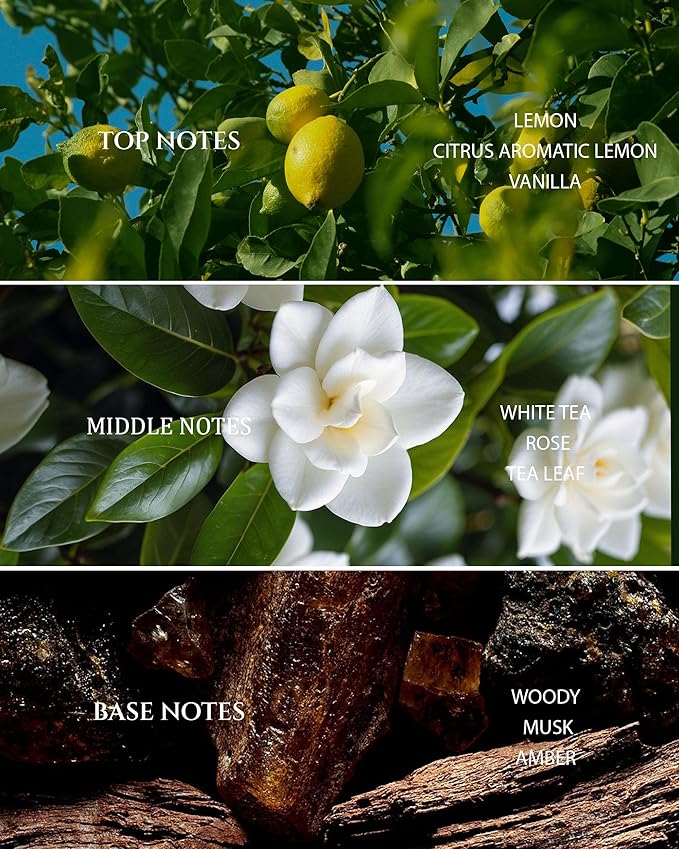 Aromadd Hotel Scents Diffuser Oil White Tea, Luxury Essential Oils for Waterless Diffuser, Aromatherapy Hotel Diffuser Oil for Home & Office, Long-Lasting - 6.76 fl oz (200 mL)