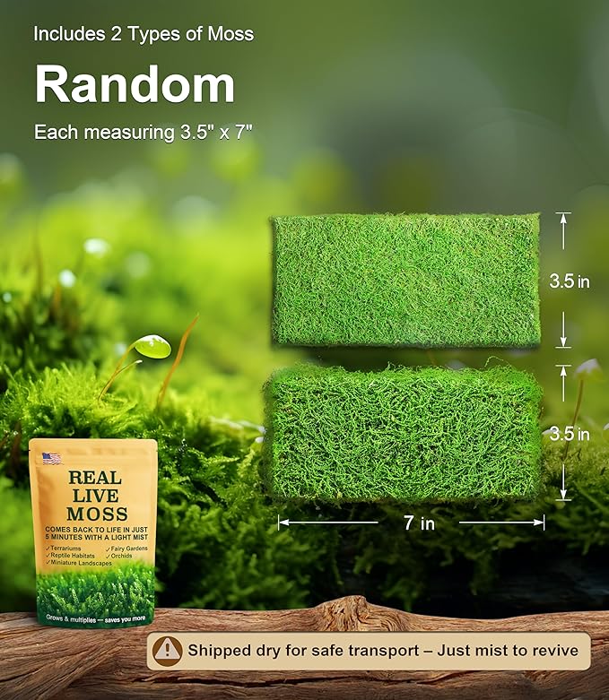 Real Live Moss Variety Pack (Each 3.5"x7"), Decorative Real Moss for Terrariums, Mini Gardens, Potted Plants & Bonsai – Naturally Grown, Reusable, Not Artificial