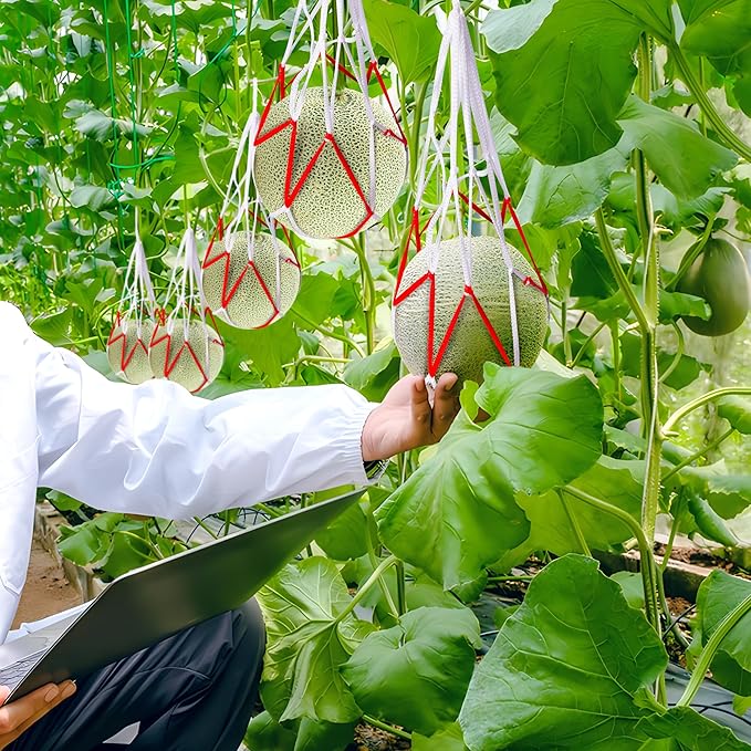 Iceyyyy 30 Packs Watermelon Hammock Mesh Bags-2 Colors Melon Hanging Net Bag-Heavy Duty Trellis Hammock Net for Watermelon,Pumpkin and Cantaloupe