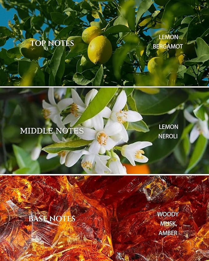 Aromadd Hotel Scents Diffuser Oil The Hotel, Luxury Essential Oils for Waterless Diffuser, Aromatherapy Hotel Diffuser Oil for Home & Office, Long-Lasting Air Freshener - 6.76 fl oz (200 mL)