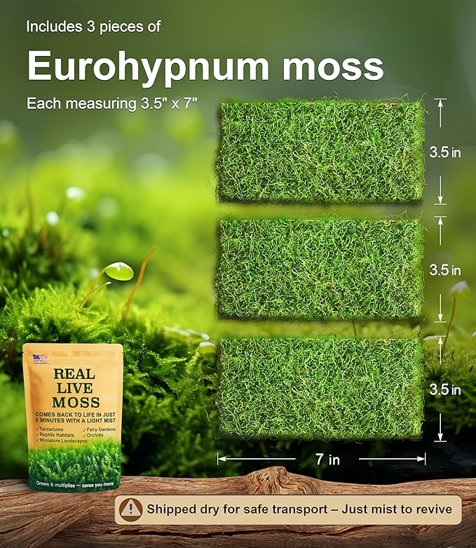 Live Moss – Eurohypnum Moss (3 Sheets, Each Approx. 3.5"x7") for Terrariums, Moss Gardens, Potted Plants & Natural Decor – Naturally Grown, Reusable, Not Artificial