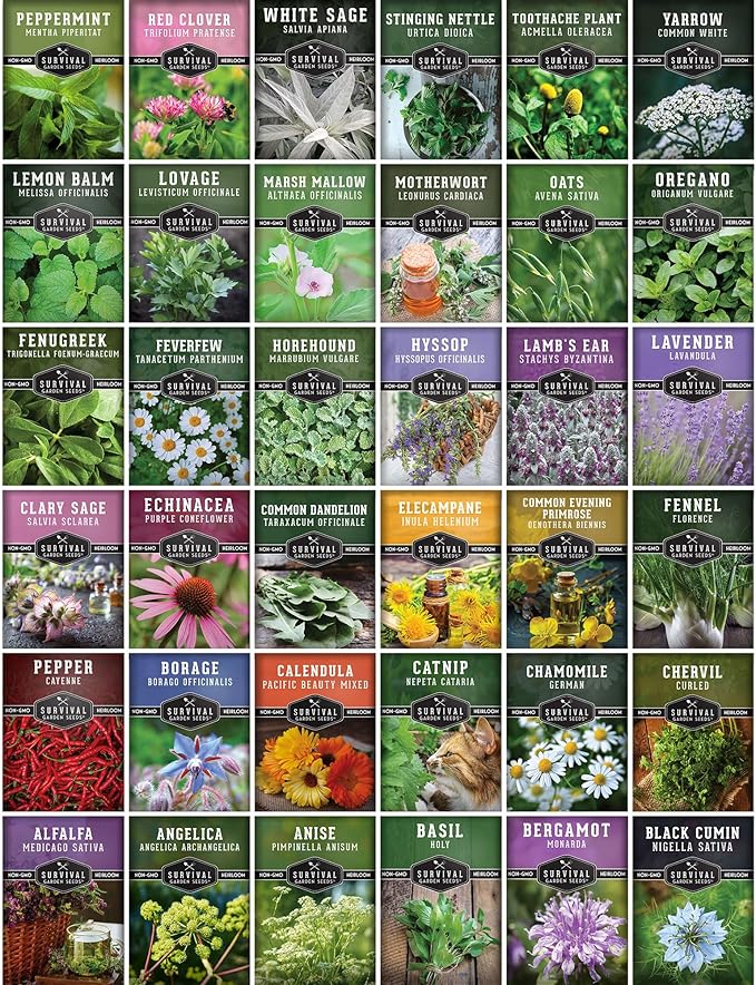 Ultimate Medicinal Herb Seeds Variety Pack – 36 Heirloom Non-GMO Healing Herbs for Planting | Wellness & Apothecary Garden Kit for Herbalists, Homesteaders – Survival Garden Seeds (28,000+)
