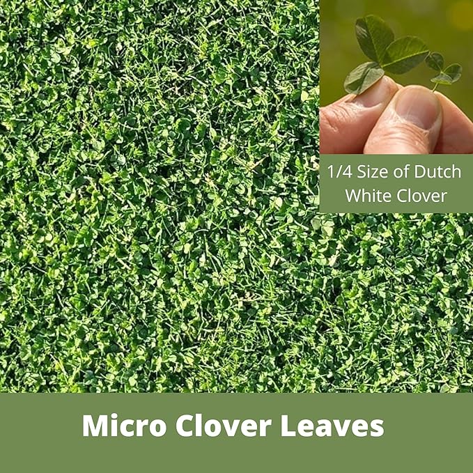 Flawn Seed Kits 5 Lbs Micro Clover Seed, Organic Coated, Eco-Friendly, Low Growing, Low Maintenance, Lawn Alternative, Kraft Zipper Pouch, Covers up to 18,000 Sqft